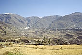 The Colca Valley is one of the most intensively terraced regions in the Andes 